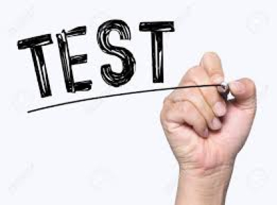   Professional Software Tester function 